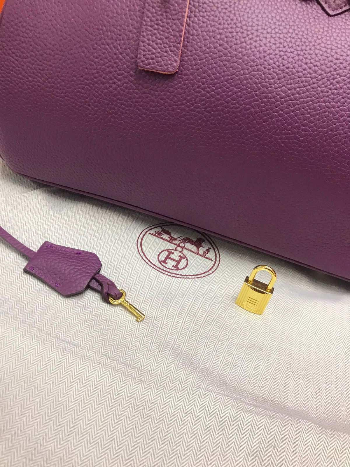 Hermes Birkin Morada Piel