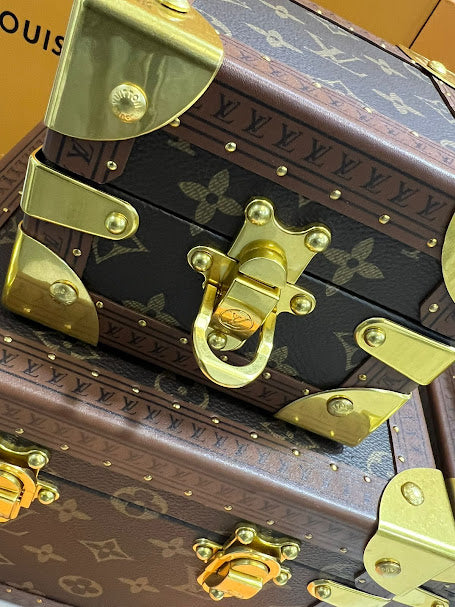 Louis Vuitton baúles de piel