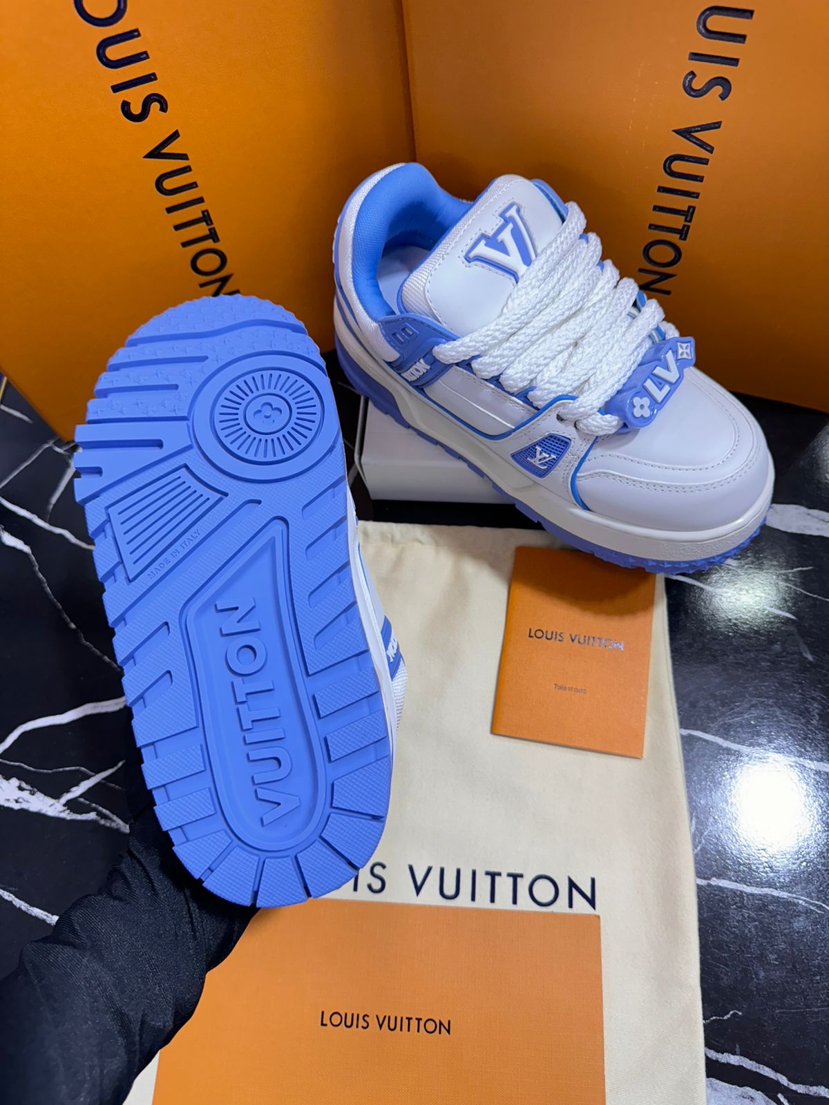 Louis Vuitton zapatos