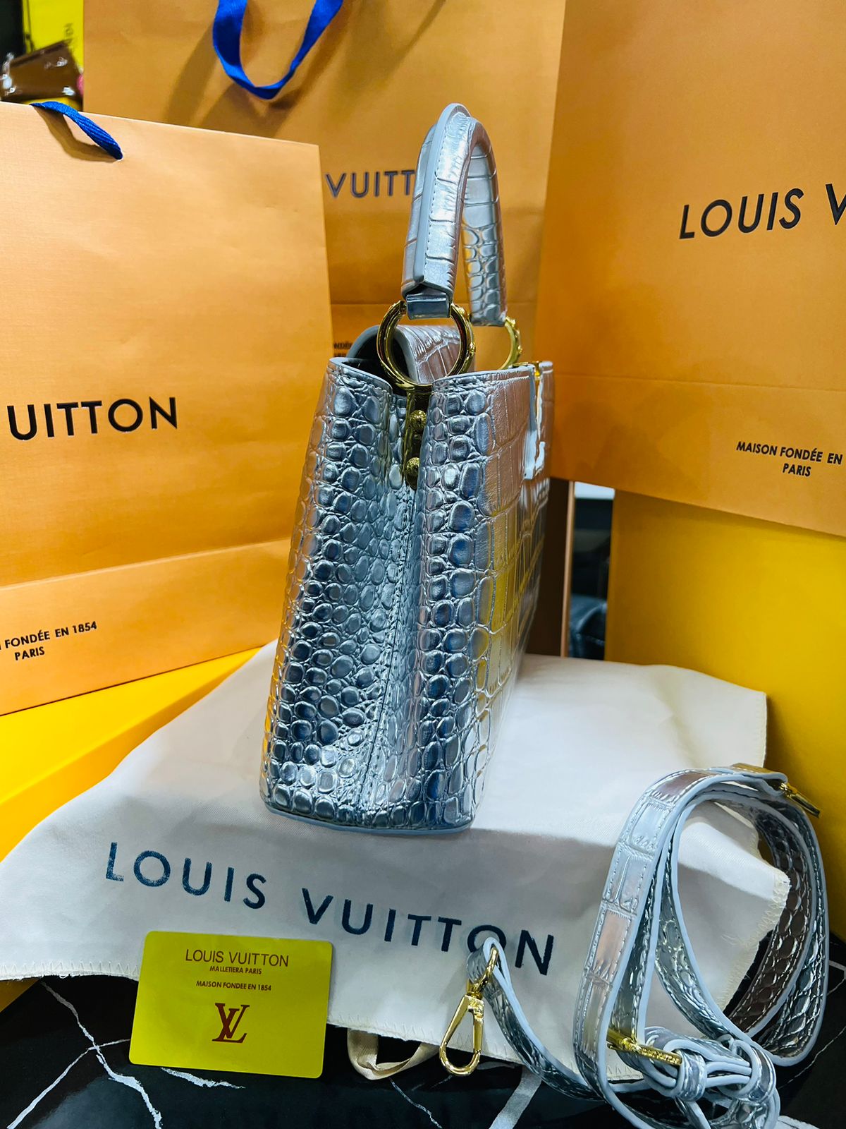 Louis Vuitton Capucine Edición Especial Plateada Piel