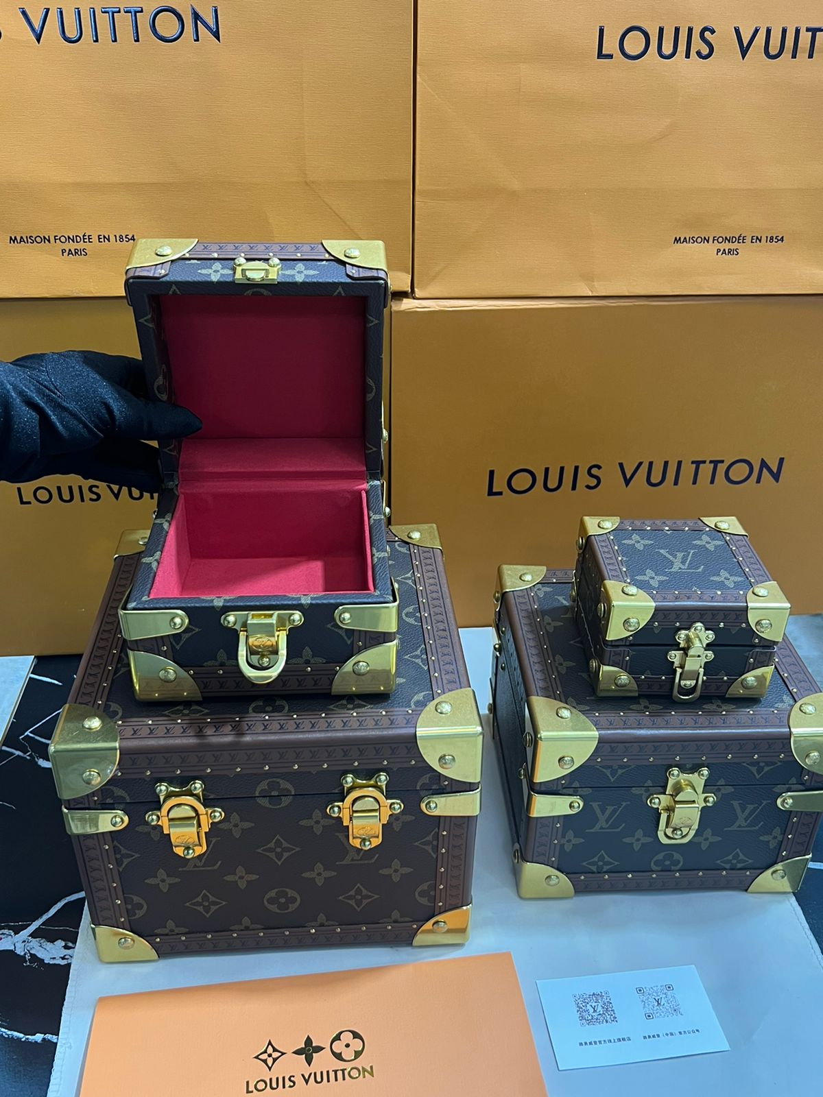 Louis Vuitton baúles de piel