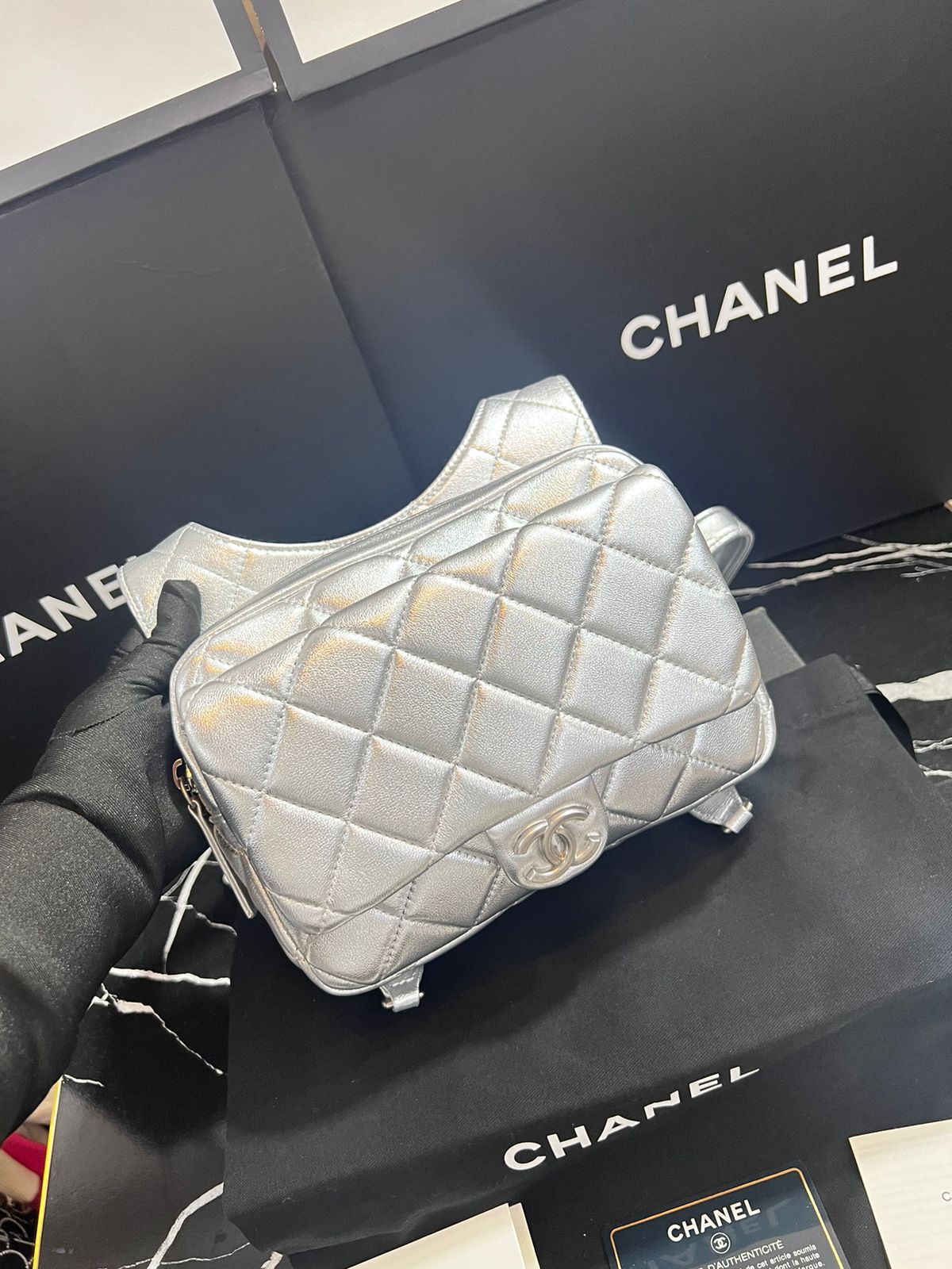 Chanel Edición Especial Plateado Piel