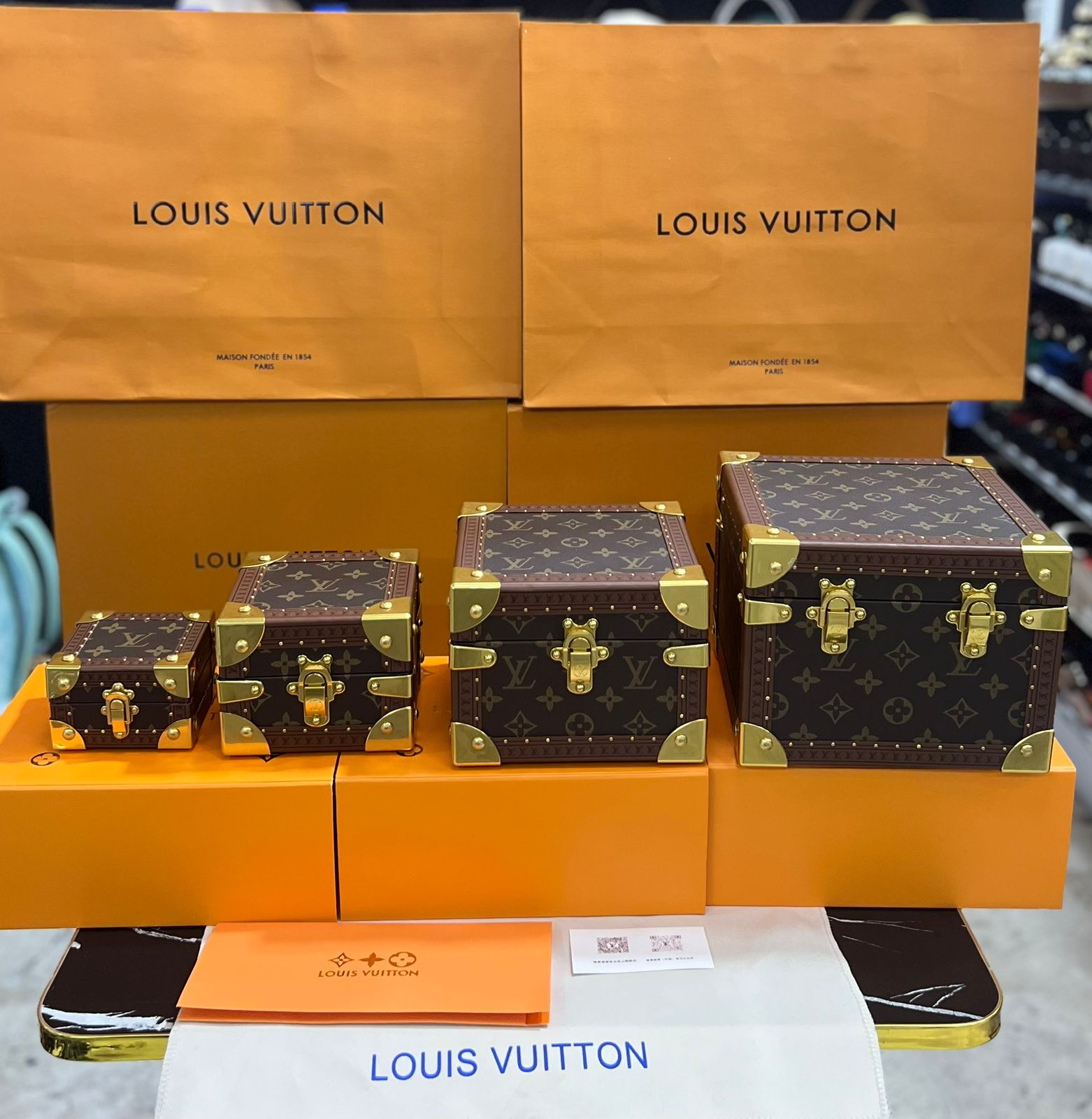 Louis Vuitton baúles de piel