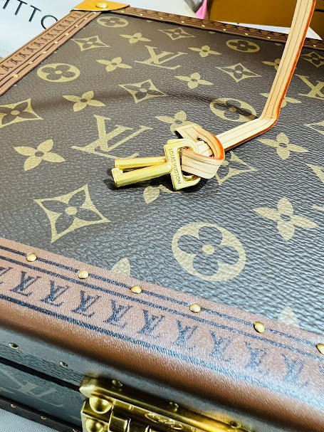 Louis Vuitton Baúl Alhajero de Piel