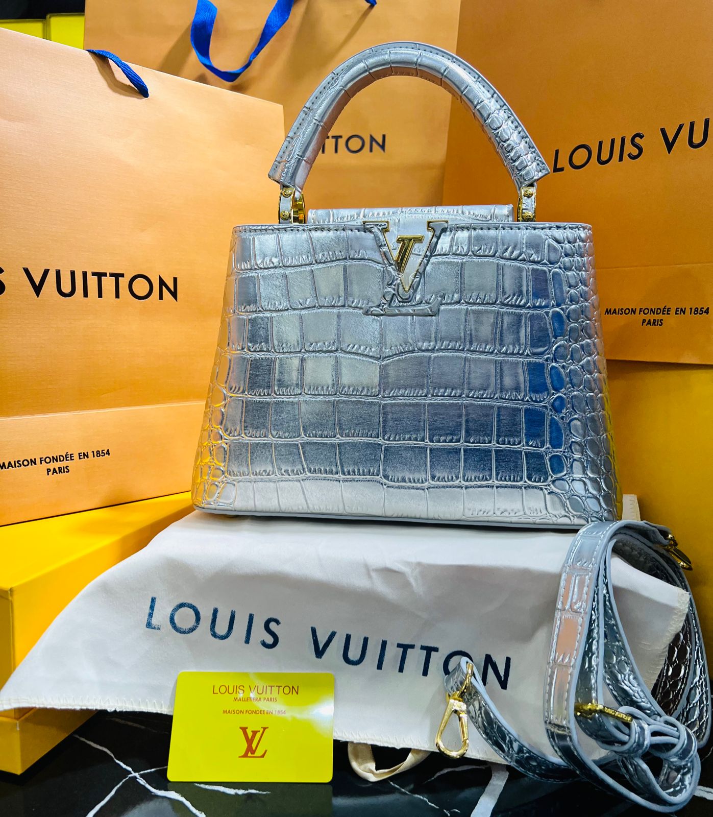 Louis Vuitton Capucine Edición Especial Plateada Piel