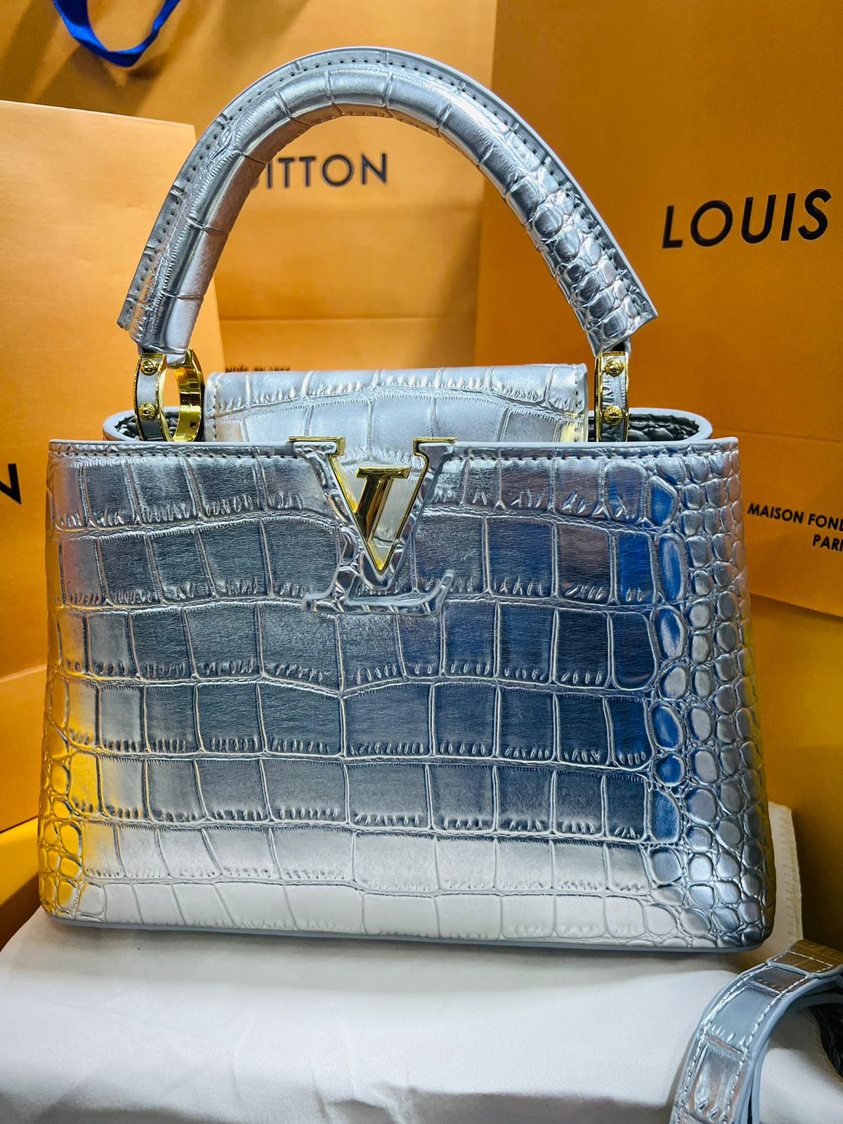 Louis Vuitton Capucine Edición Especial Plateada Piel