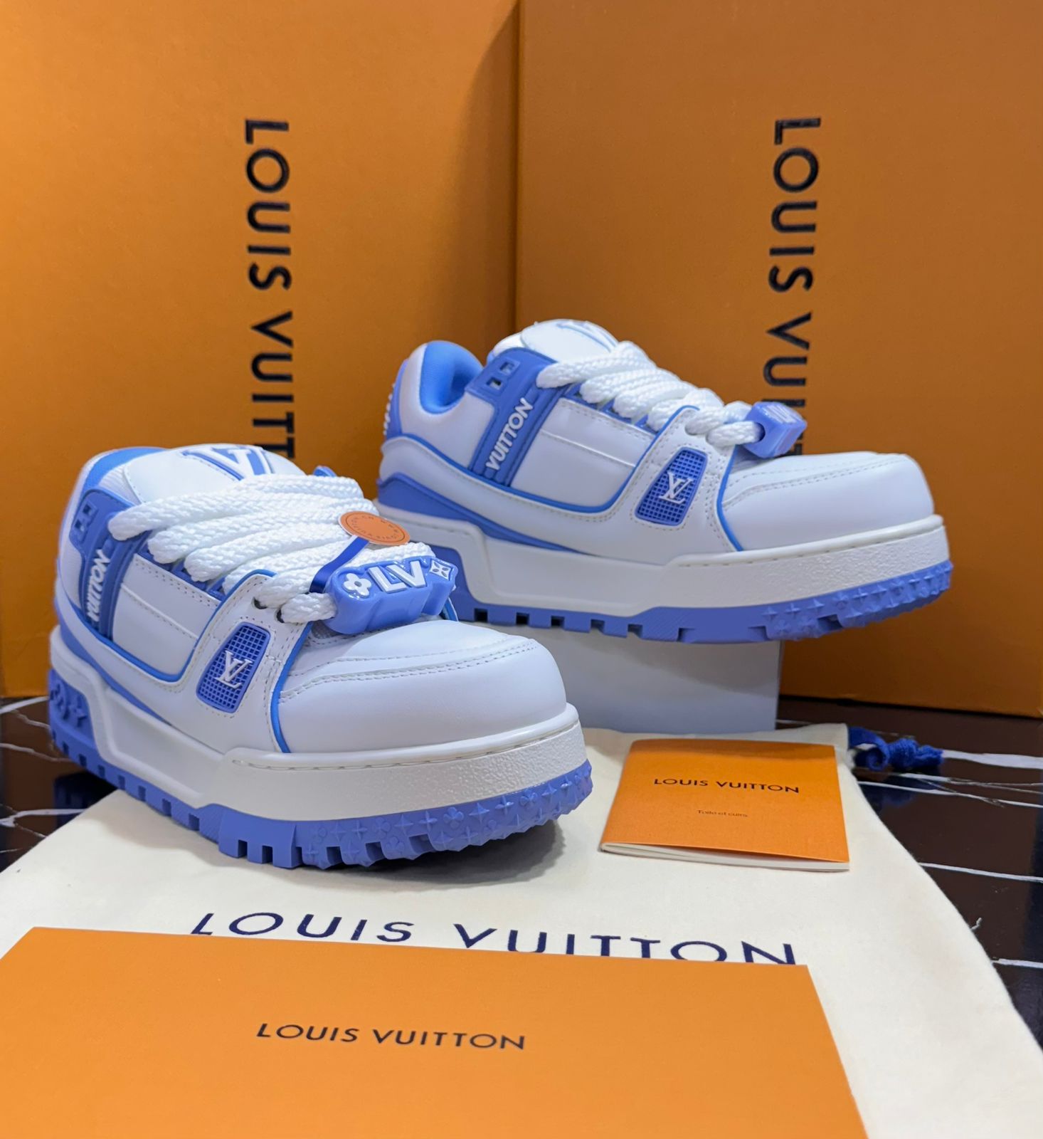 Louis Vuitton zapatos