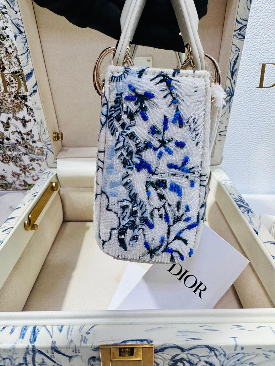 Cristian Dior G5 mini bolso