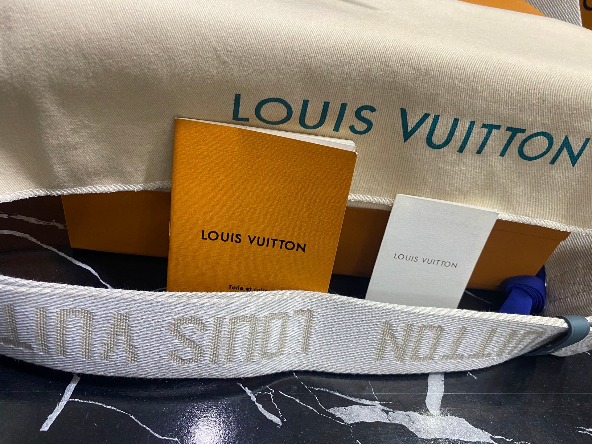 Louis Vuitton Azul Bordada con Piel