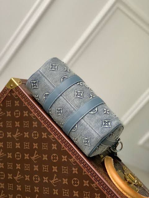 Louis Vuitton Azul Bordada con Piel