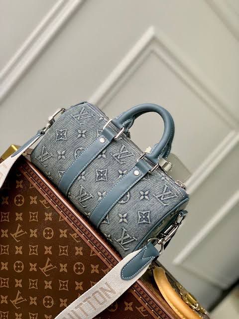 Louis Vuitton Azul Bordada con Piel