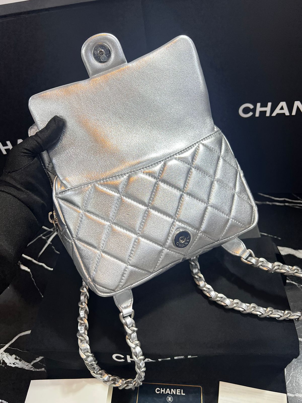 Chanel Edición Especial Plateado Piel