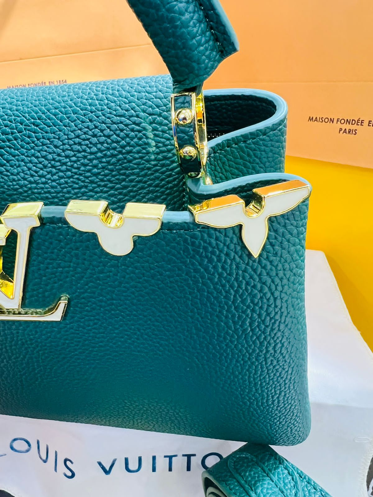 Louis Vuitton Capucine Verde Piel