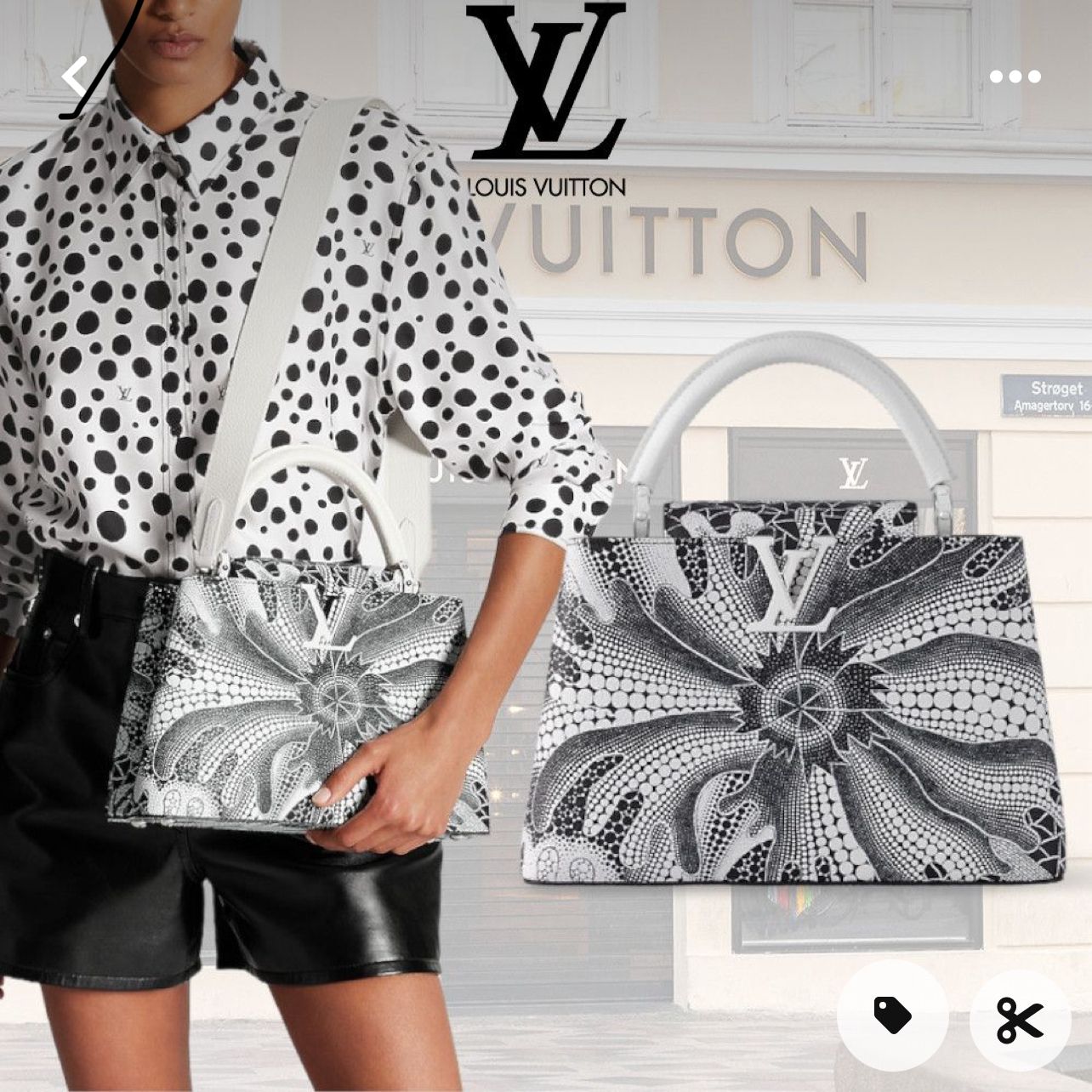 Louis Vuitton Capucine Edición Especial Piel