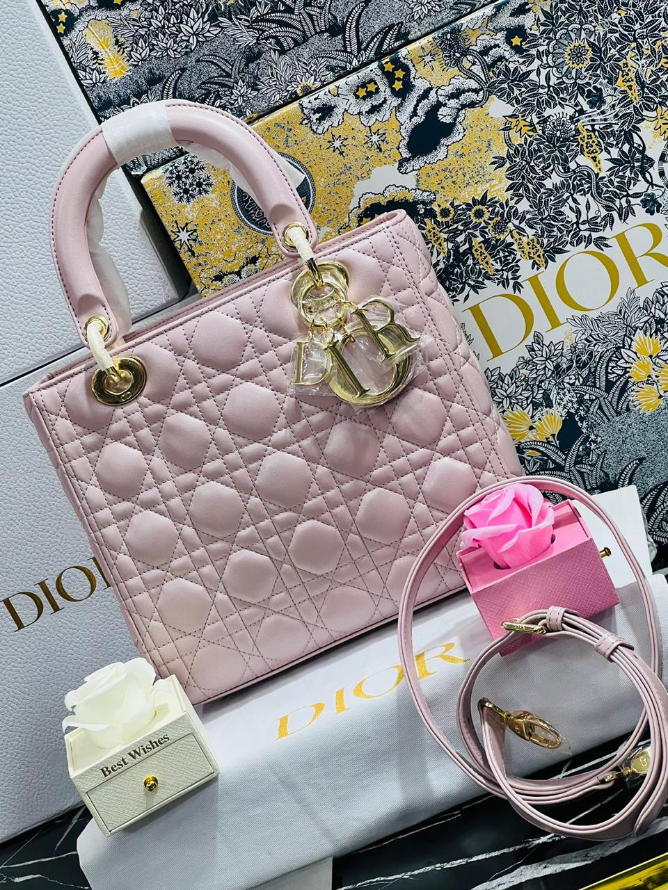 Christian Dior Rosa Piel