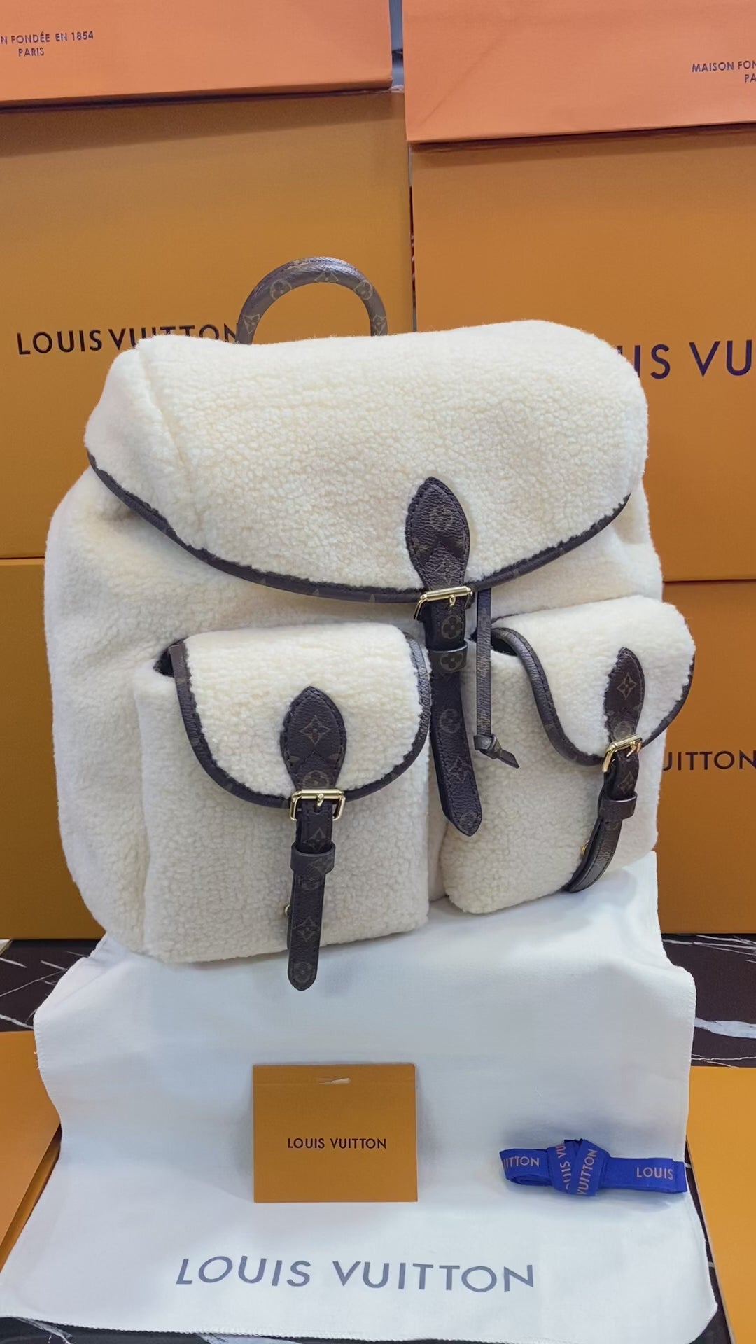 Louis Vuitton Beige Lana con Piel