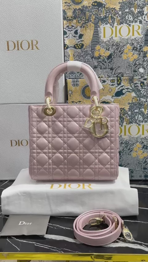 Christian Dior Rosa Piel